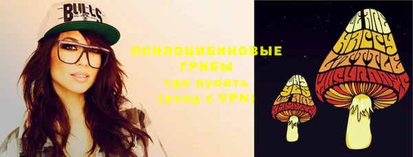 ГАЛЛЮЦИНОГЕННЫЕ ГРИБЫ Володарск