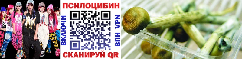 Псилоцибиновые грибы Psilocybine cubensis  Купить закладки  Ряжск 